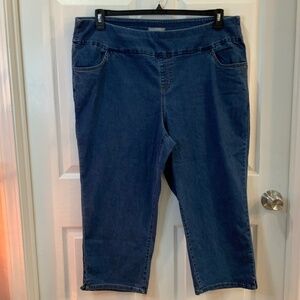 WOMAN WITHIN PULL ON ELASTIC WAIST JEANS PLUS SIZE 24
